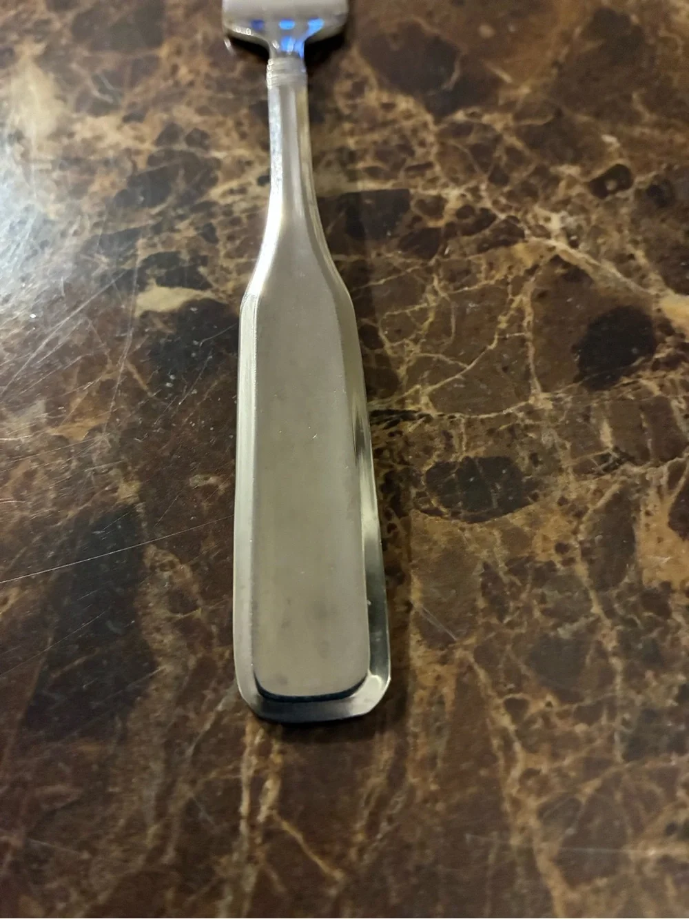 Cambridge Glossy Stainless Steel Flatware Set 2 Dinner Forks & Soup Spoon